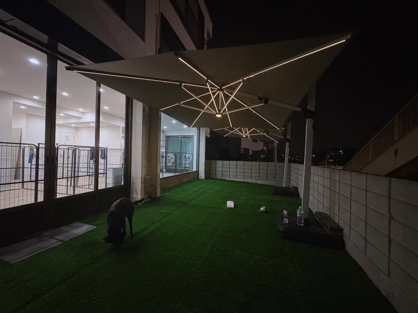 室内につながる屋外ドッグランと夜のパラソル照明