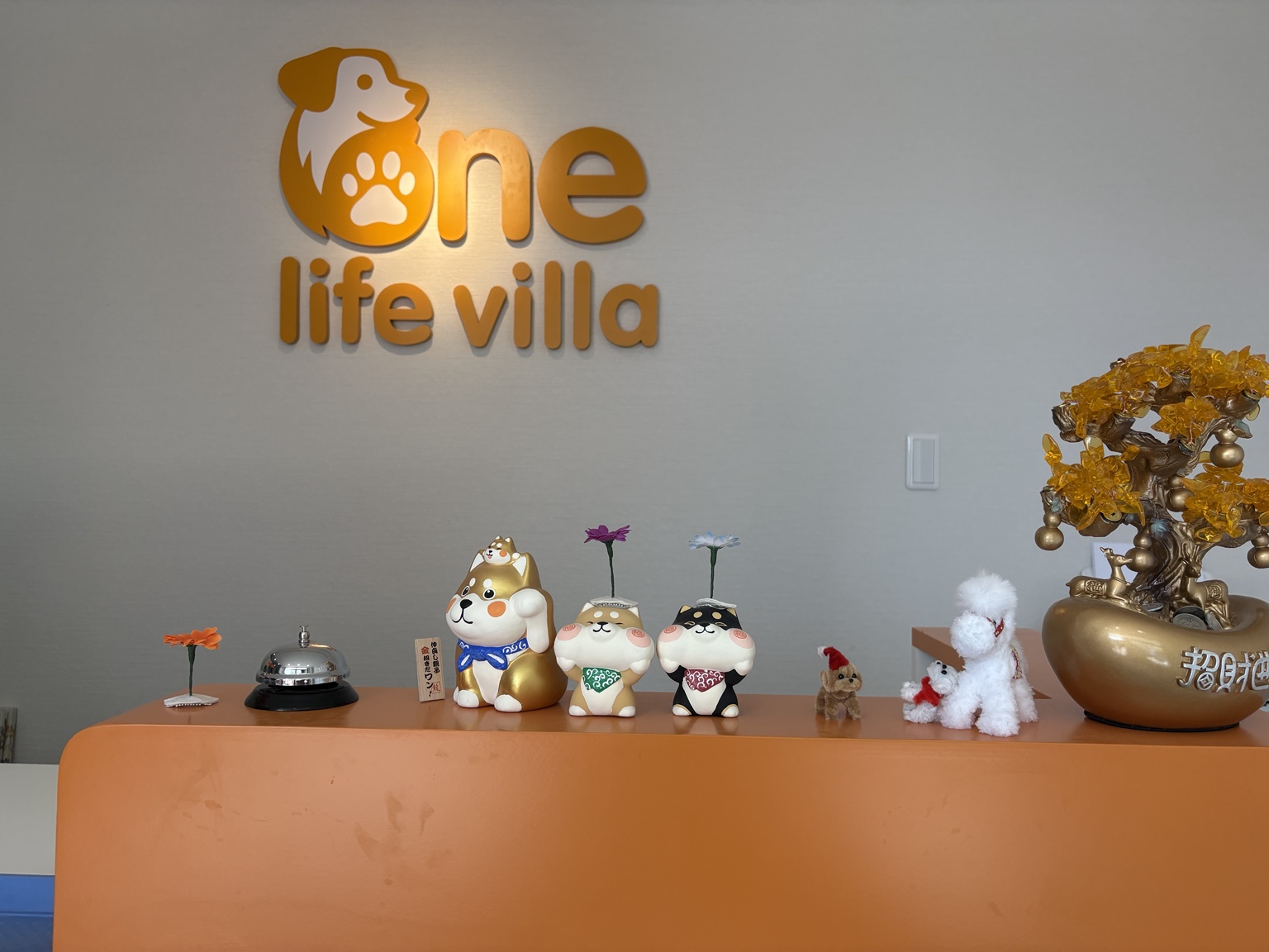 ONE LIFE VILLAの看板と犬の置物が並ぶ受付